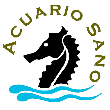 logo-fin-PNG